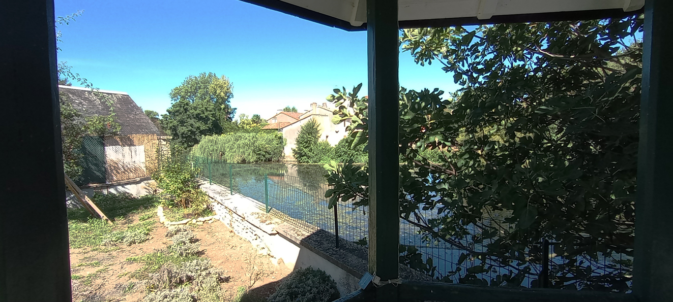 Chambres Moulin Neuf - garden pagoda